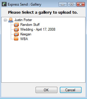 Select the gallery to upload to